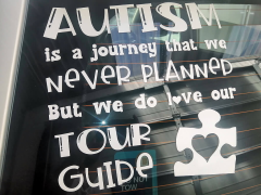 Vinyl sticker applied to the back windscreen of a car