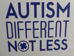 Vinyl Car Sticker #1